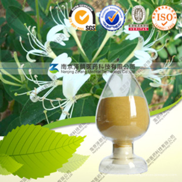 Producto para el cuidado de la salud Honeysuchle Flowers Extract Chlorogenic Acid